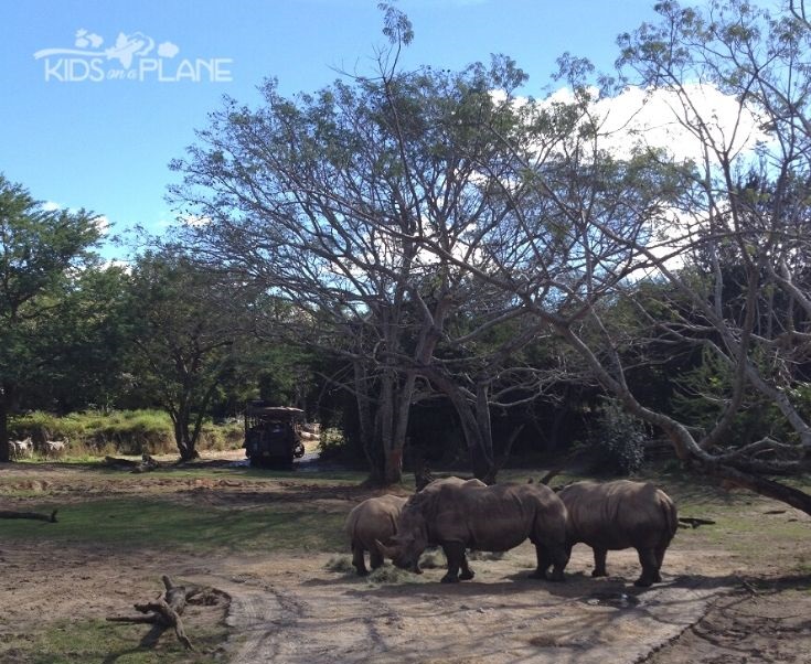 Best Things to Do with Kids at Disney's Animal Kingdom Theme Park